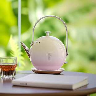 烧水壶泡茶专用高颜值304不锈钢电热水壶 己颜2025新款 招商