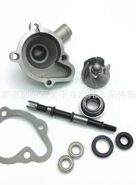 沙滩车 配件 水泵组件 套件 GY6 250CC CH250 CF250 water pump