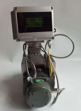 厂家直销智能罗茨气体流量计TRMZ型气体腰轮流量计