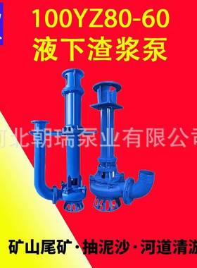 高扬程液下渣浆泵37Kw100YZ80-60耐磨无堵塞浆料泵耐磨合金过流件