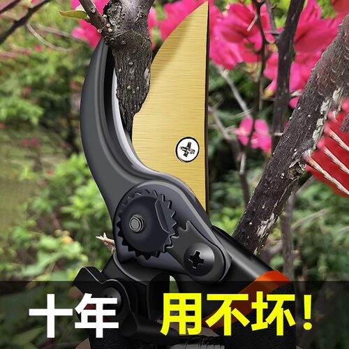 修剪树枝剪刀剪花专用剪刀园艺修枝剪果树园林采摘神器剪粗枝剪刀