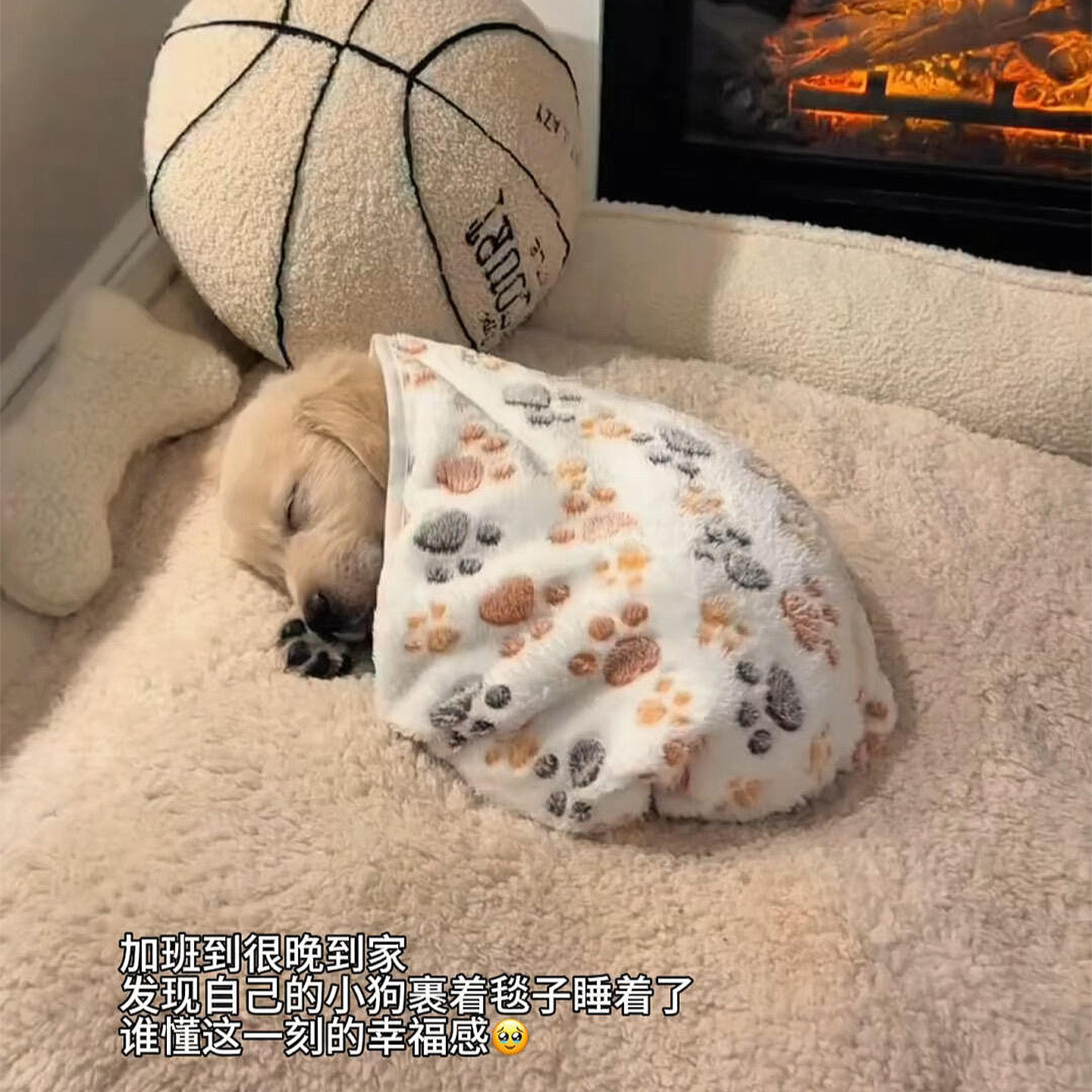 狗狗毛毯宠物睡觉盖毯下架猫咪空调毯保暖被子可爱法兰绒狗窝垫子