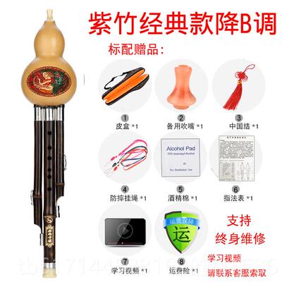 正品7紫竹孔葫丝乐器初学儿童专业演奏成人C调9降bAGF芦调楠竹孔