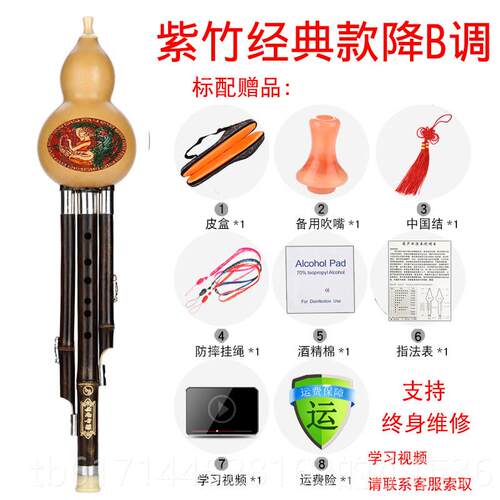 正品7紫竹孔葫丝乐器初学儿童专业演奏成人C调9降bAGF芦调楠竹孔