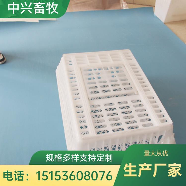 鸡笼 鸭笼 鸭鹅鸽兔鸡运输笼 抗压抗摔耐用成鸡运输笼