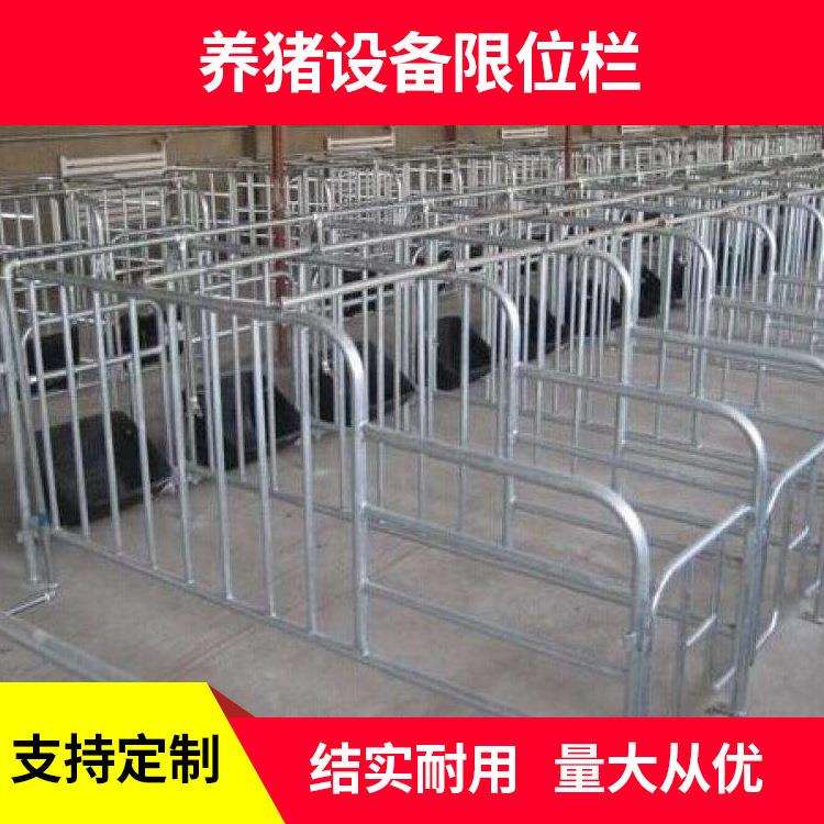 厂家定 制加厚猪用定位栏带复合漏粪板猪用限位栏 养猪设备