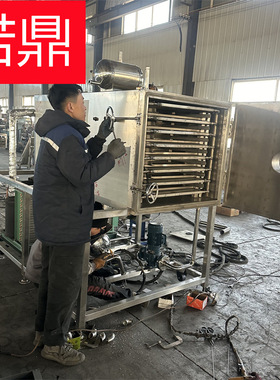 果肉类冻干机 小型水果冻干机器厂家 小平方实验型冻干机 节能