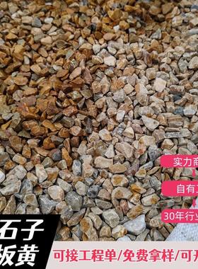 黄色砾石园林造景大块黄石子工程铺路地板黄石子机制水磨石子