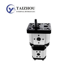 小排量扫雪车拖拉机收割机一年保修齿轮泵CBN