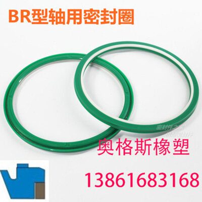 BR型轴用密封圈145*160.5*6 150*165.5*6 156*171*6 160*175.5*6
