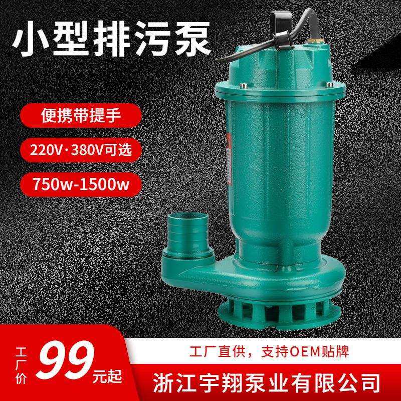 厂家小型潜水泵50WQD10-10-0.75手提式便携潜污泵丝口污水泵,模玩/动漫/周边/娃圈三坑/桌游,模型制作工具/辅料耗材,淘宝优惠券,粉丝福利购,淘宝优惠卷