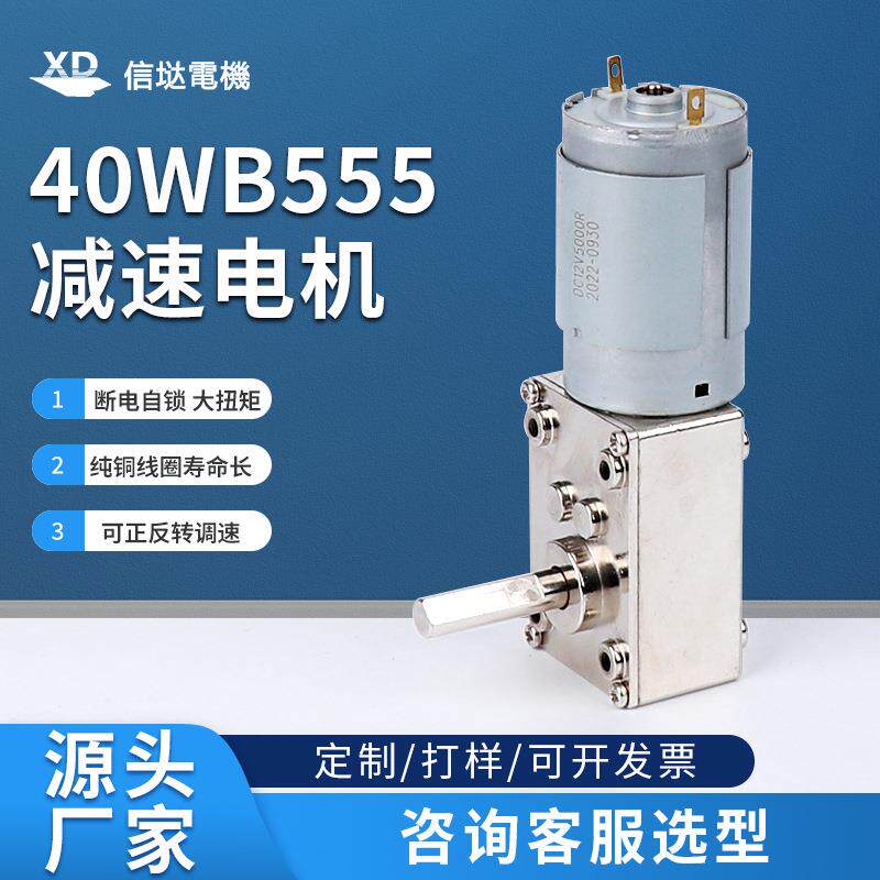 涡轮蜗杆减速电机24V直流大扭矩断电自锁12V低速微型调速电动马达