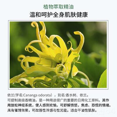 新款身完全依兰精油10ml单方纯植护物面部肤胸体按摩香花薰调香包