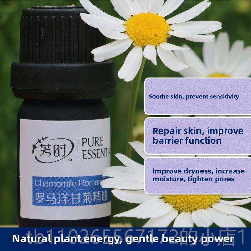 新款方石单侧罗马甘洋菊精油植物香薰按摩感香薰舒缓修覆敏和红肿