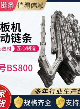 链板机驱动链条BS800 节距P250 除尘灰拉链机板链 输送机传动链条