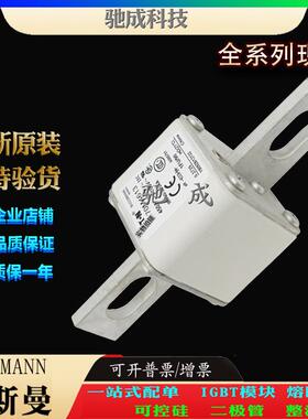 巴斯曼170M4613 170M4614 170M4615 厂价供应出厂价格 原装熔断器