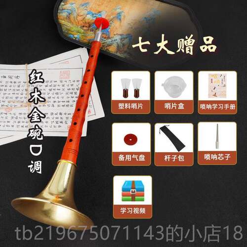 高档初学者唢呐喇红木调乌木黑檀木民族全吹奏乐器成人入门D中号