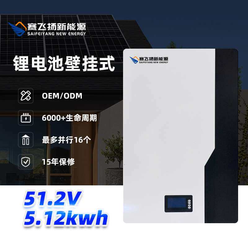 51.2V 5.12kWh 10.24kwh 壁挂式磷酸铁锂户用太 阳能储能电池组