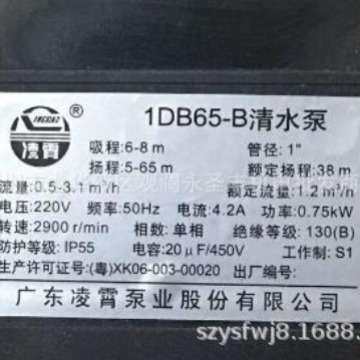 广东凌霄1DB35 1DB45 1DB65 -B清水泵 家用抽水泵330W 550W 750W