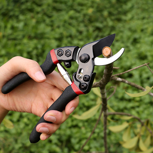 巨正升 省力果树修枝剪刀树枝粗枝剪SK5专业采摘用园林园艺剪修花