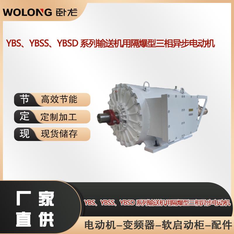 YBS、YBSS、YBSD系列输送机用隔爆型三相异步电动机