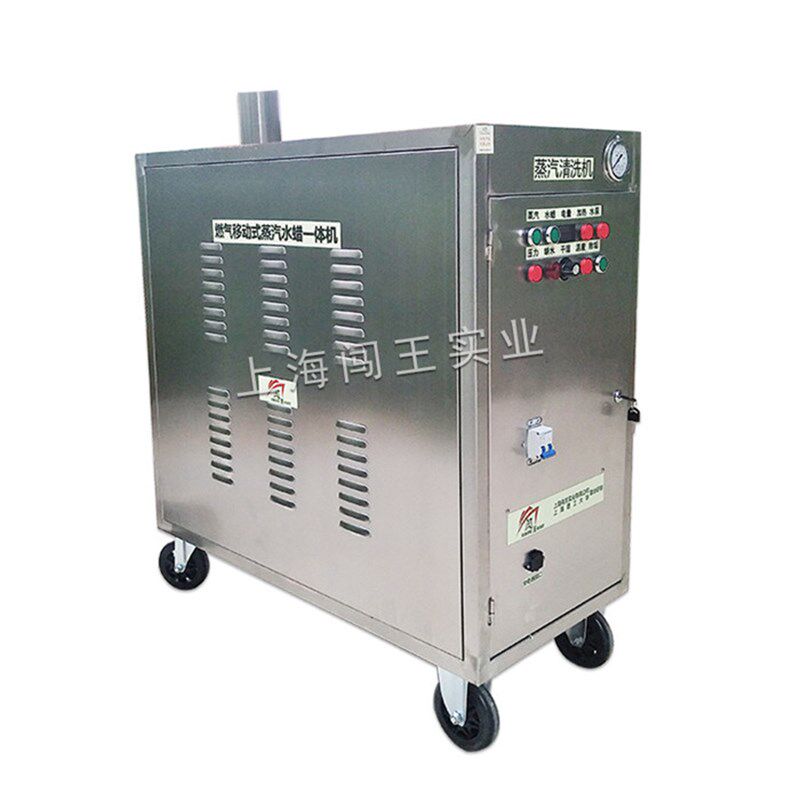 CWR09A燃气型蒸汽洗车机商用即热式蒸汽清洗机洗车店