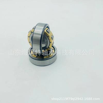 单列调心滚子轴承20205M20206M20208M非标小轴承