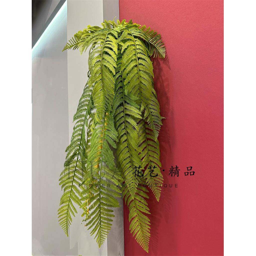 热带雨林大蕨叶植物造景垂直绿化壁挂吊兰屋顶悬挂园林装饰