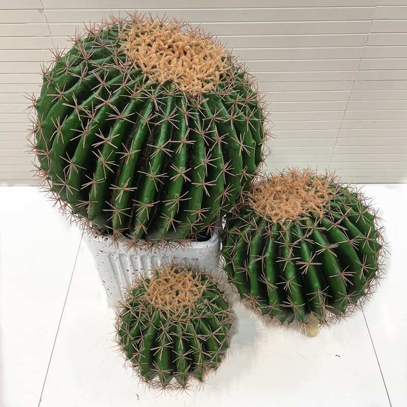 仿真仙人球 仙人掌 多肉热带植物绿植盆栽装饰拍摄道具假花摆件