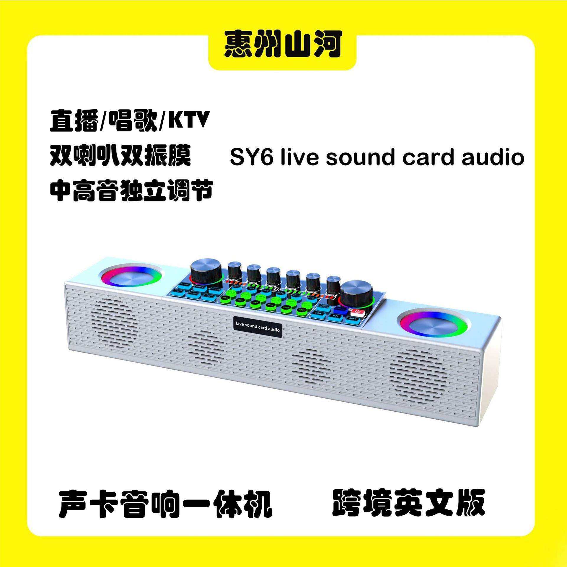 SY6直播声卡音响专业跨境英文版便携式多场景支持多平台唱歌KTV
