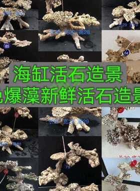 yut海缸造景高钙深海活石免爆藻活石造景小海缸造景悬浮造景石珊