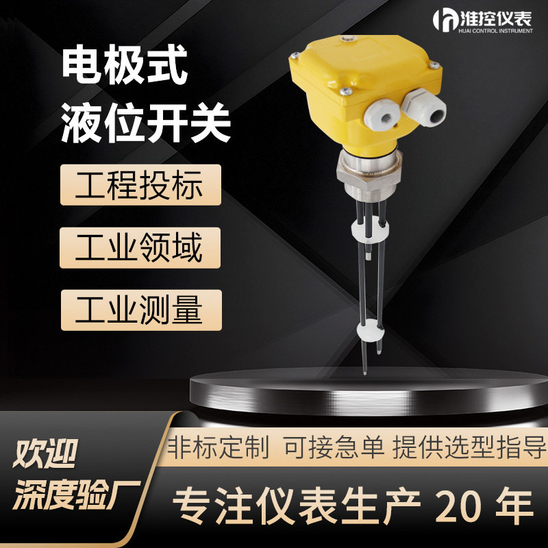 SP电极液位开关液位计水位开关高温防腐高低报警电极式液位开关