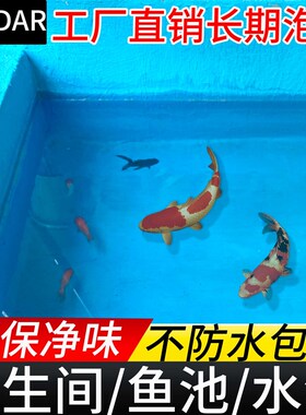 鱼池K11防水涂料卫生间水池专用补漏材料js毛坯房室内外墙地面胶