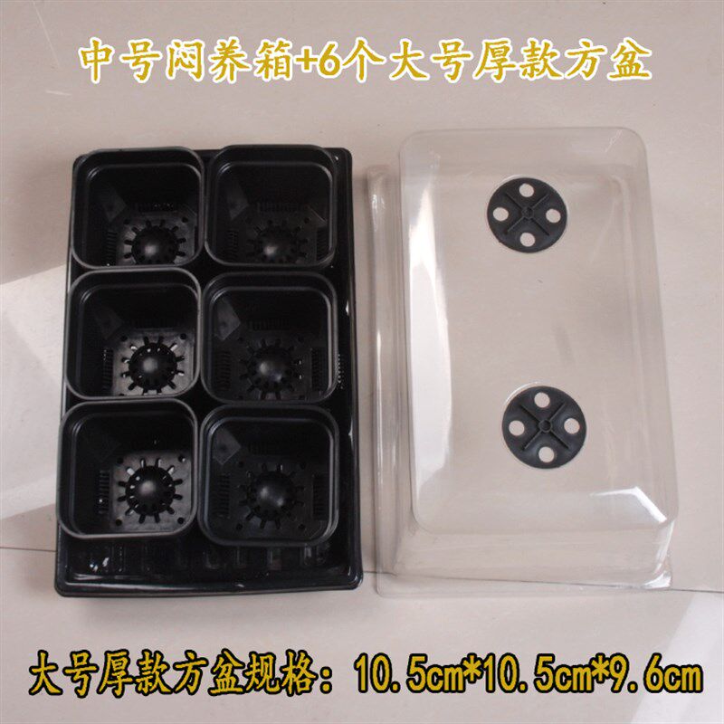 箱湿十二卷育苗盒发芽闷养多蔬菜花卉阳台菌种种植保温保肉周转箱