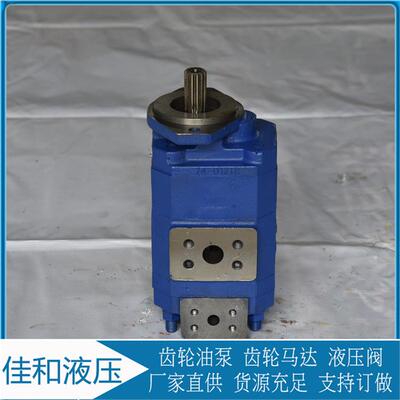 P124B182XDZA15-54PBZA02-1 煤矿用 泊姆克双联齿轮油泵供应