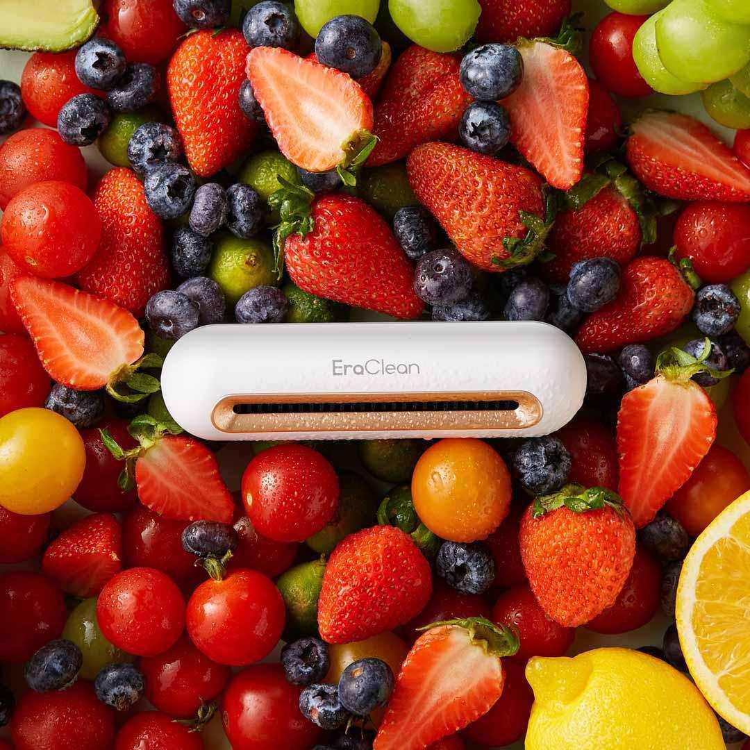 EraClean世净冰箱除味神器臭氧除臭消毒除菌去异味舌尖卫士杀菌器
