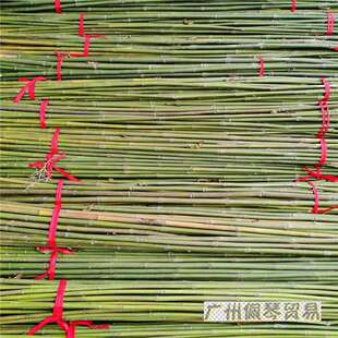 竹竿子搭架菜园竹片竹竿杆细竹条豆角黄瓜西红柿瓜果蔬菜爬藤架子
