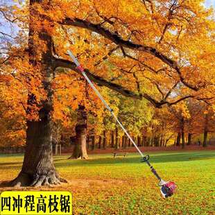 园林工具四合一汽油高枝锯 加长杆园艺打草割草割灌机 高枝绿篱机