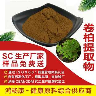 卷柏提取物10:1 岩柏草提取物 水溶性卷柏粉 陕西高畅