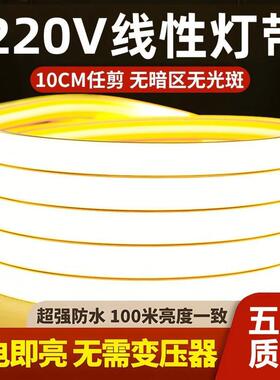 w%COB灯带220v高压led超亮线形客厅吊顶可自粘家用户外防水软灯带