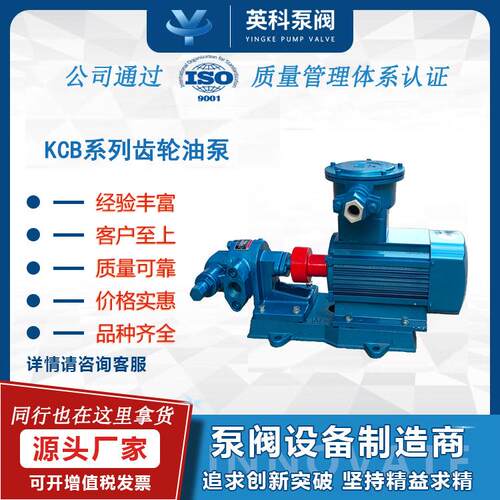 齿轮泵KCB55防爆液压油小型铸铁电动304不锈钢微型涂料齿轮油泵