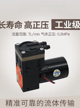 卡默尔KZP真空泵 大流量气泵12v抽气泵 无刷小型气体压缩机隔膜泵