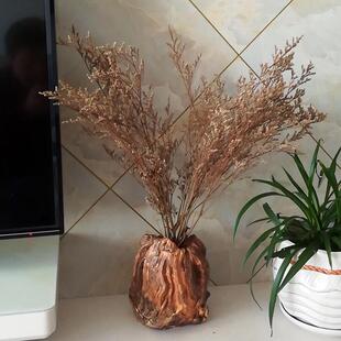 天然松树瘤摆件 家居饰品客厅装饰花瓶摆设 笔筒木质工艺礼品