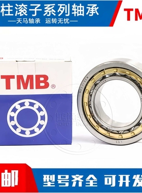 轴承TMB NJ2218/2219/2220/2222/2224/2226/2228EM电机水泵