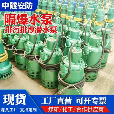 BQS矿用隔爆型潜水排沙电泵 660V1140V 隔膜泵防爆排污排水污水泵
