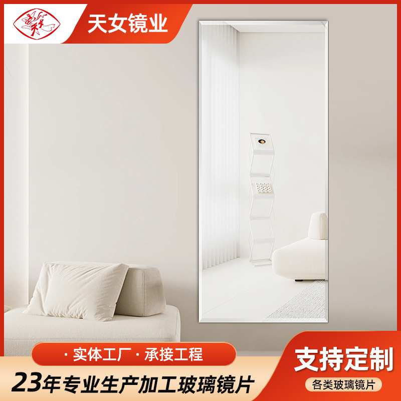 门后镜子贴墙全身镜小户型落地镜家用挂墙试衣镜壁挂穿衣镜