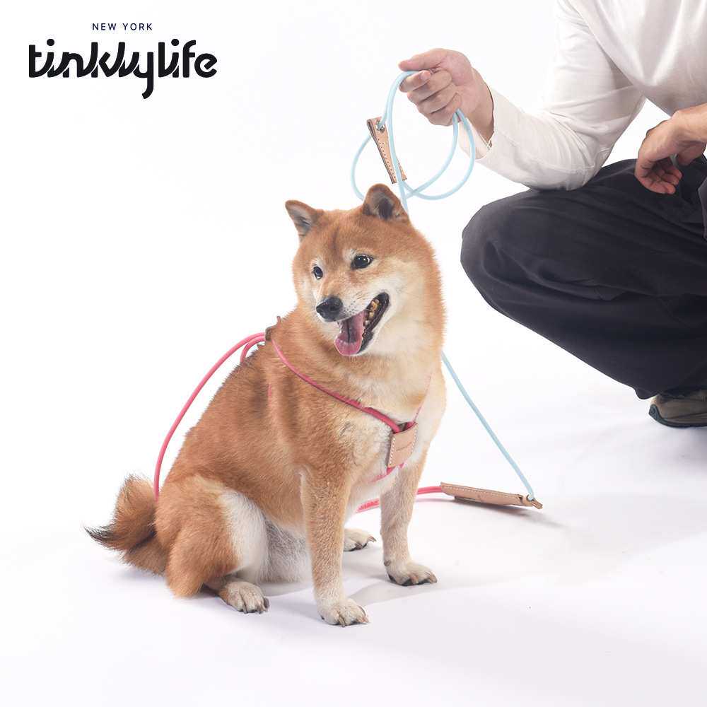 Tinklylife多功能外出牵引绳遛狗绳斜跨腰牵挂真皮项圈脖宠物用品