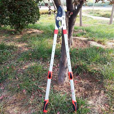 易速S6008伸缩大力剪 果树修枝剪刀 园林粗枝剪 园艺高枝剪