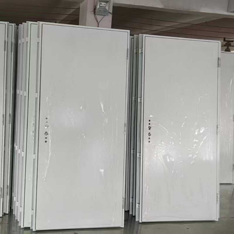现货2035*840钢制门 集装箱门打包箱门