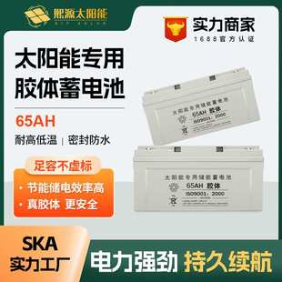 太阳能专用铅酸免维护胶体蓄电池12V65AH大容量家用路灯监控电瓶